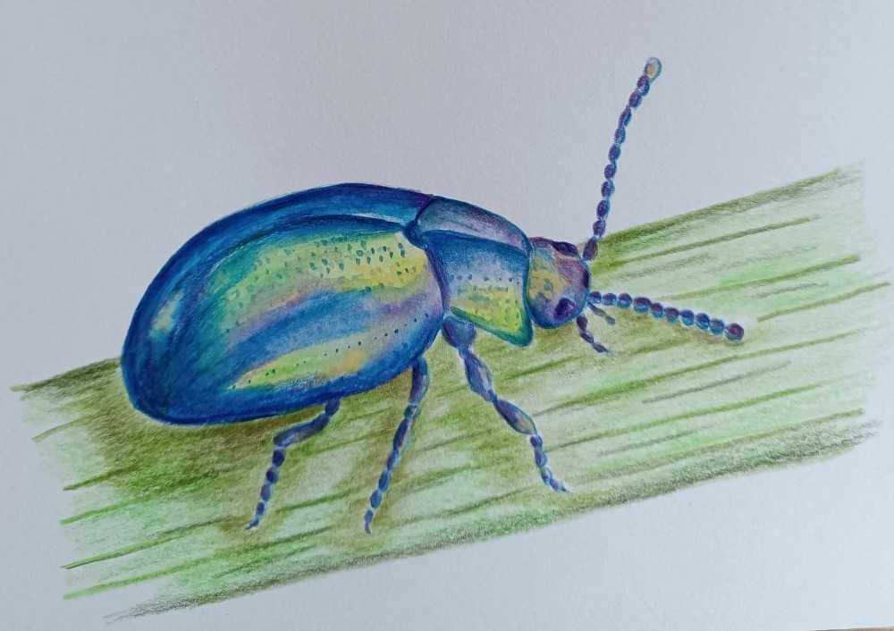 Medlov se připravuje na Den zázraků. Nabídne strom přání i novou Pohádkovou stezku - 1000 x 706 